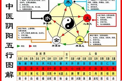 1984鼠五行|1984年出生的人是什么命 1984年出生是属什么命